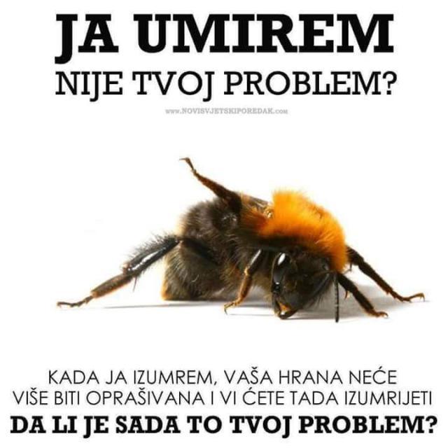 NEMAR PREMA PČELAMA